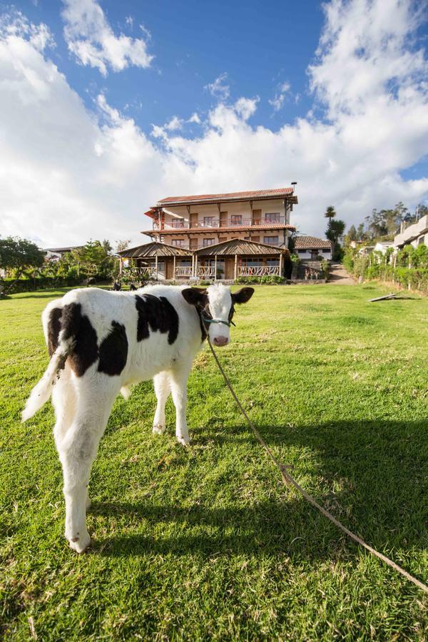 Hostal Taita Cristobal Isinlivi Dış mekan fotoğraf